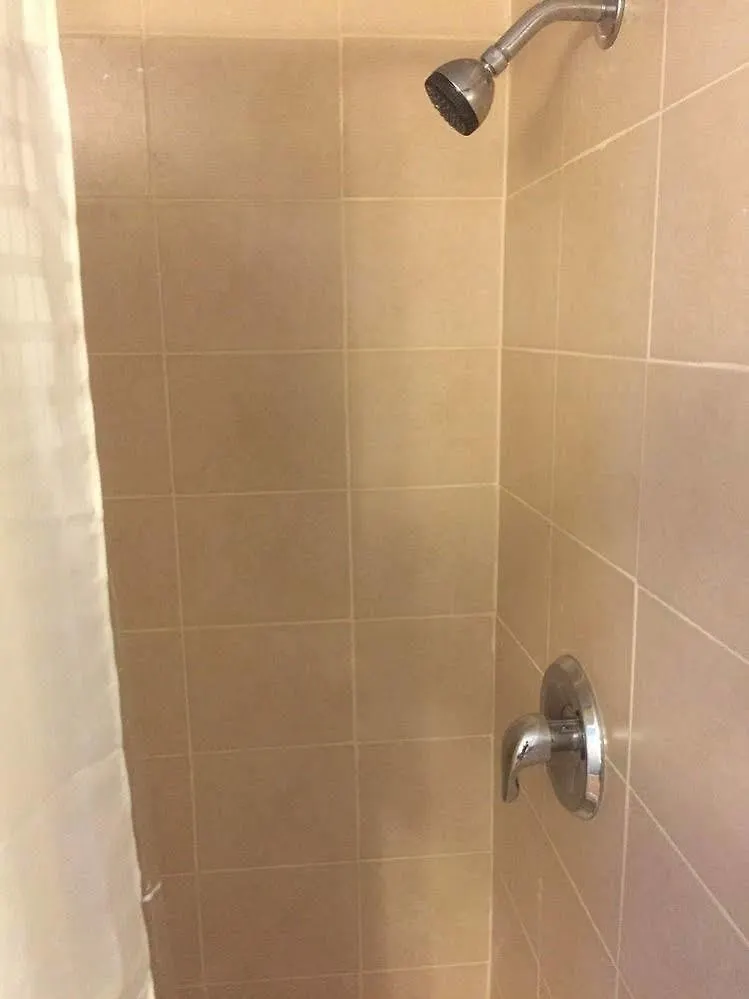 New Plaza Motel Toronto